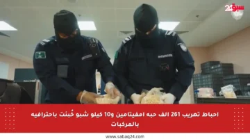 إحباط تهريب 261 ألف حبة إمفيتامين و10 كيلو شبو خُبئت باحترافية بالمركبات
